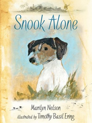 cover image of Snook Alone